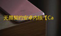 无畏契约安卓内核【Caston】外挂
